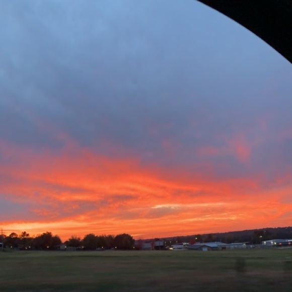 Meet your Posher, Piper - Picture 1 of 1